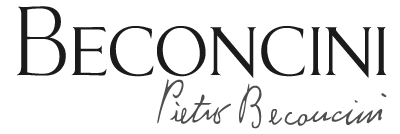 Logo Becocini