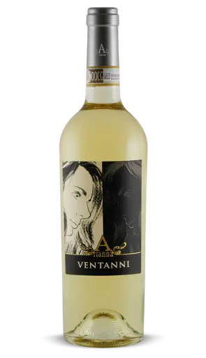 PALAGETTO - Ventanni